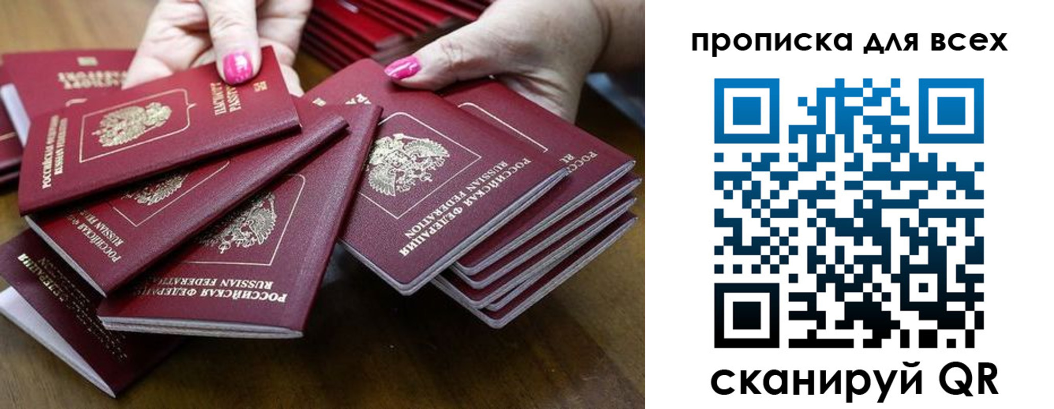 прописка гарантия в Ленинградской области